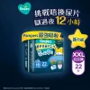 Pampers Ichiban幫寶適一級幫安睡褲加加大碼 22片